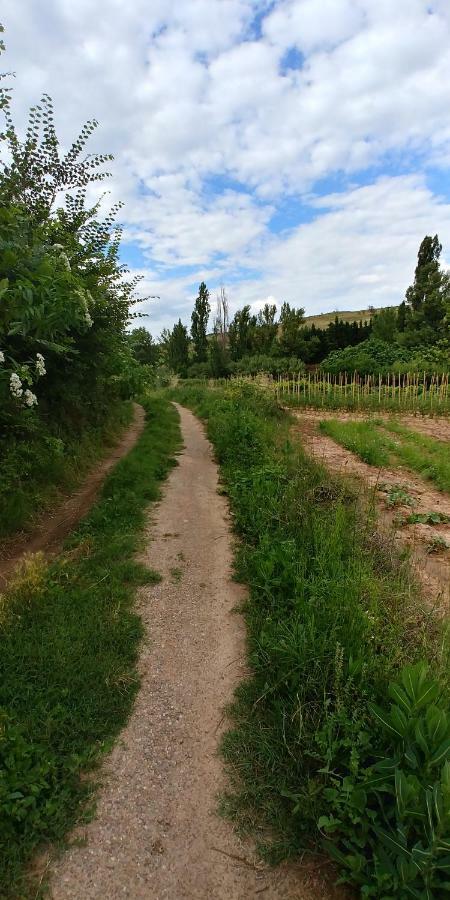 Apartamento Entrevinas En El Corazon De La Rioja Fuenmayor Luaran gambar